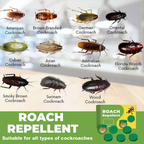 Cockroach Killer Gel (Buy 1 Get 1 Free) 24pcs