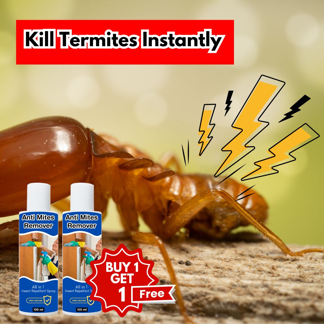 Termite Control Spray (BUY 1 GET 1 FREE)