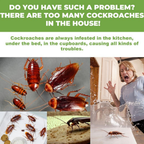 Cockroach Killer Gel (Buy 1 Get 1 Free) 24pcs