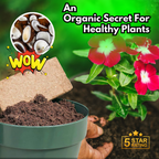 Organic Coconut Coir for Plants (Pack of 10)