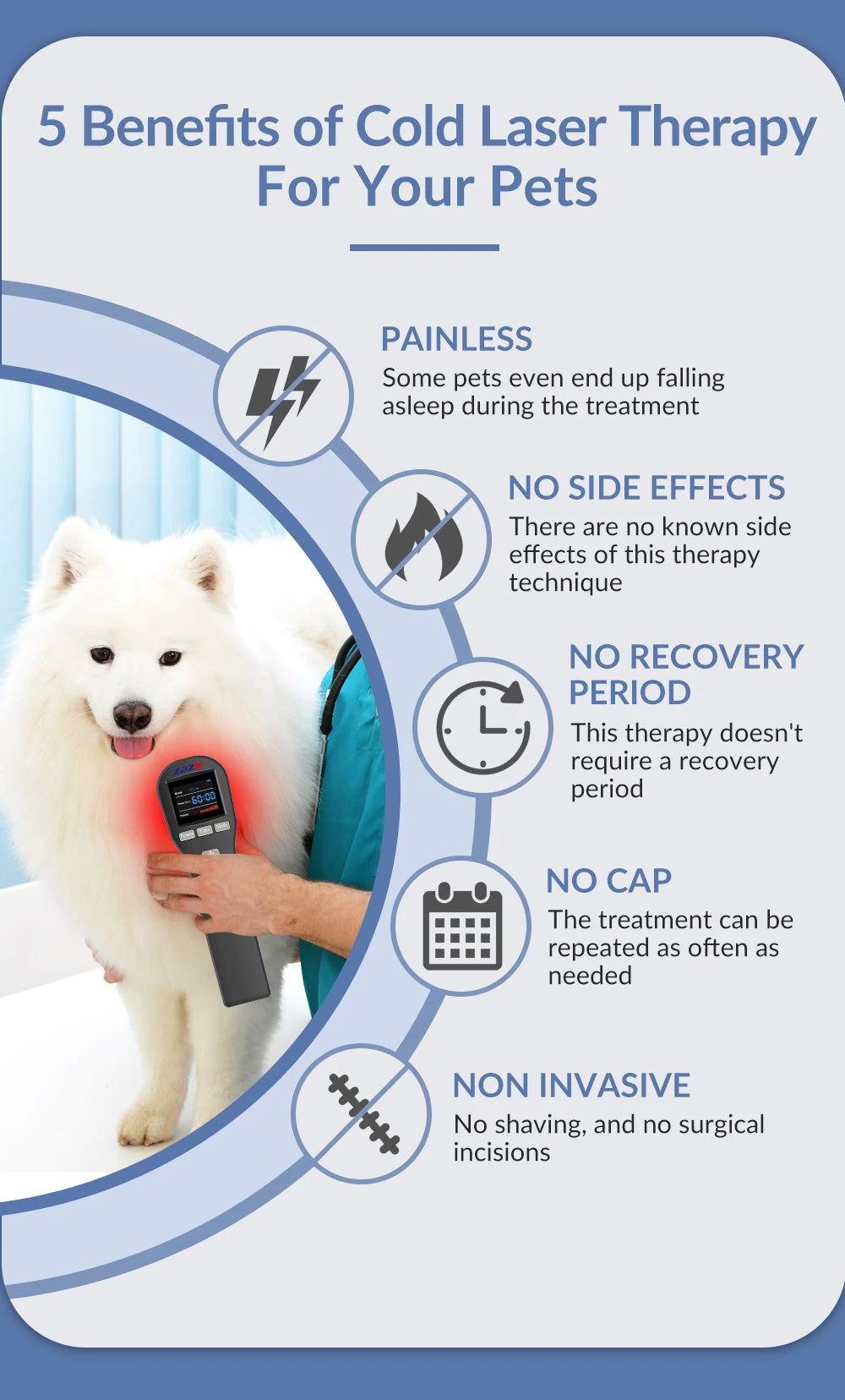 Deep Tissue Cold Laser Therapy Device – Pain Relief for Horses, Dogs & Cats