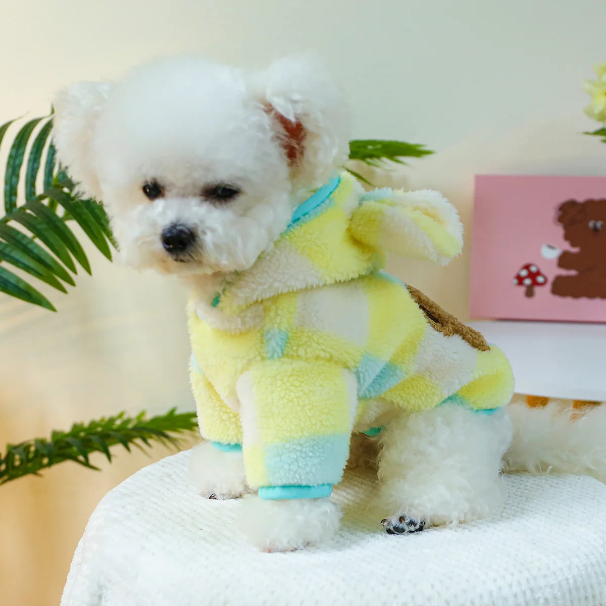 Pet Clothing Autumn Winter