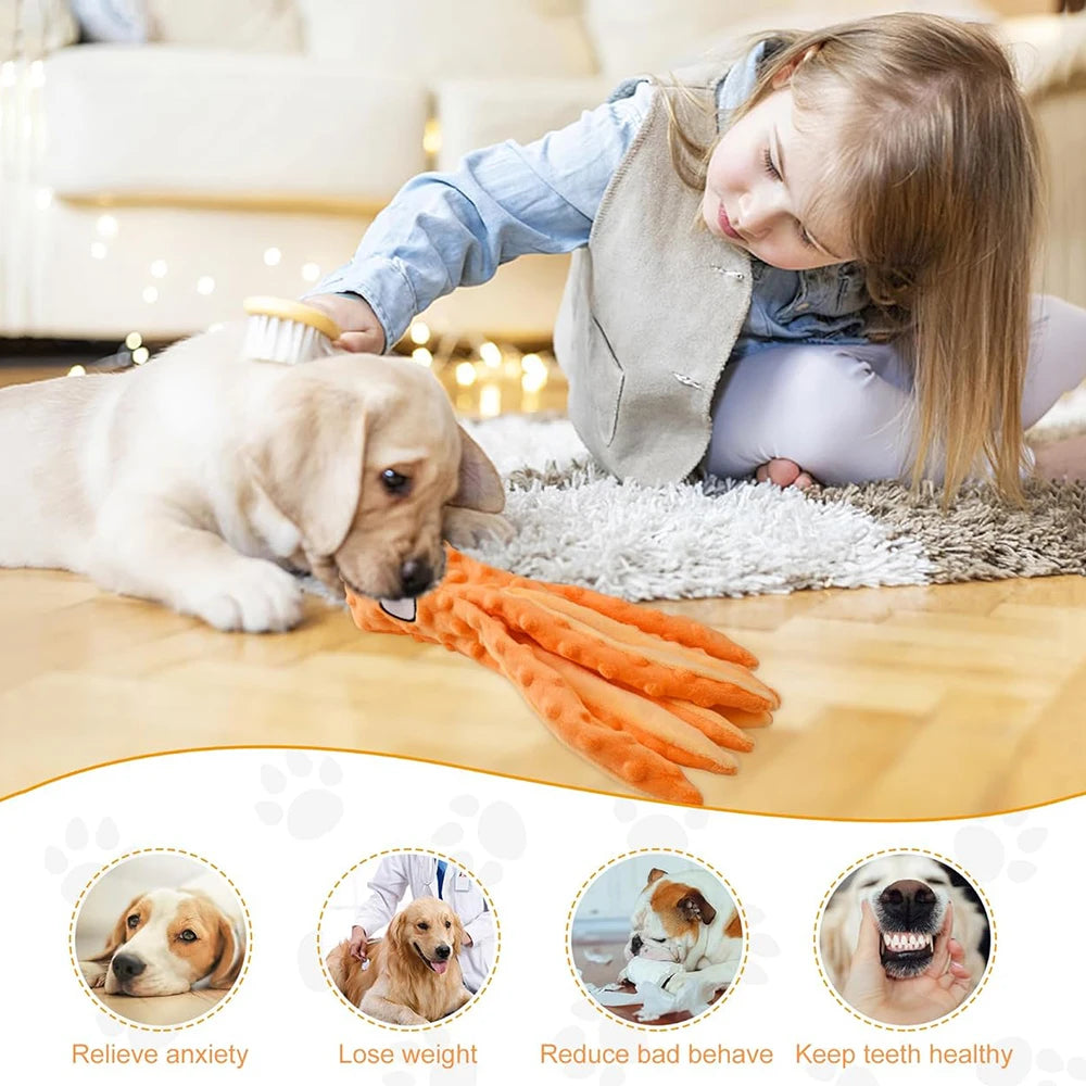 Dog Chew Toys