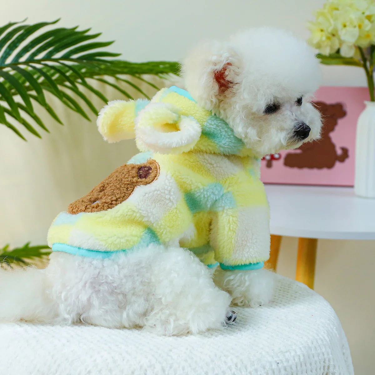 Pet Clothing Autumn Winter