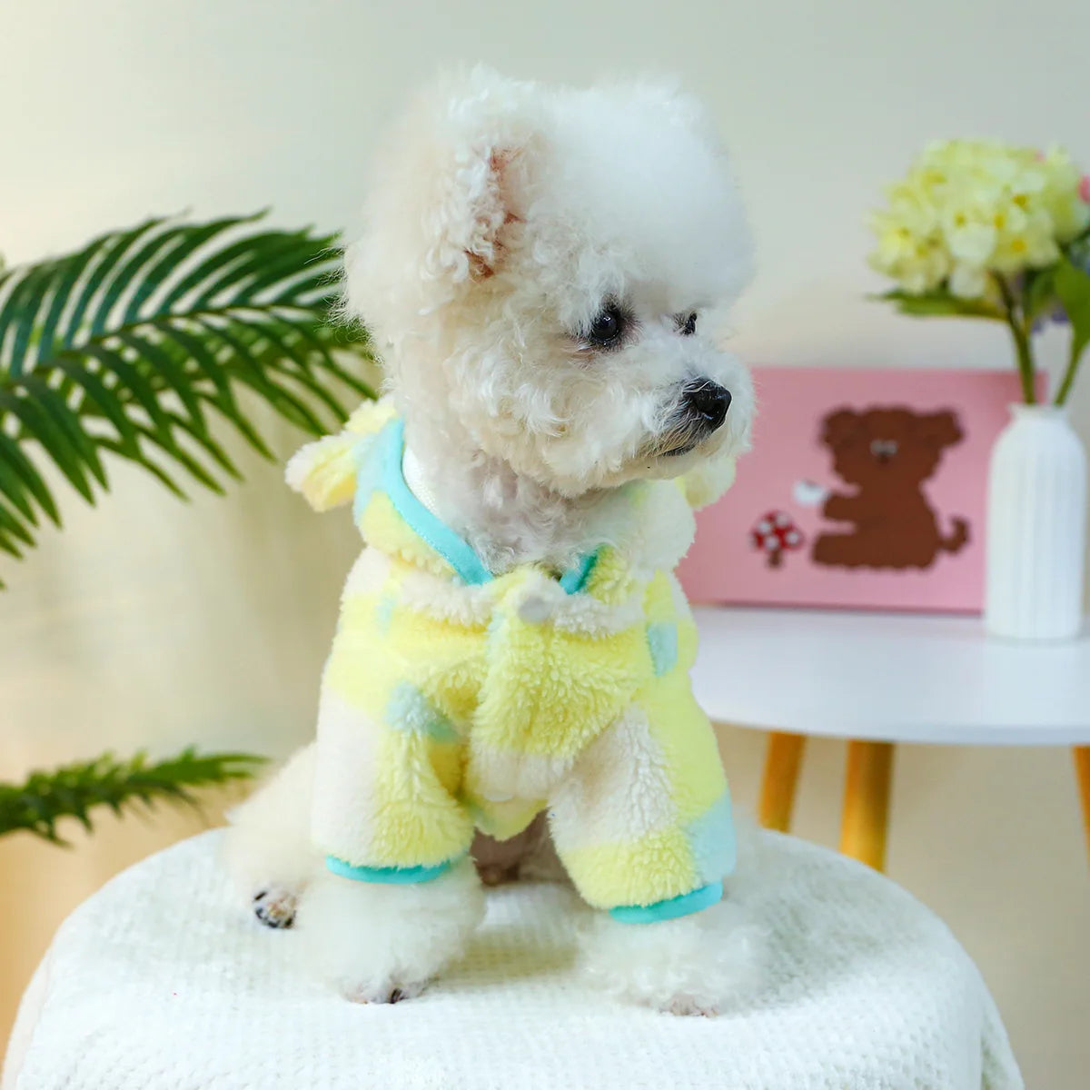 Pet Clothing Autumn Winter