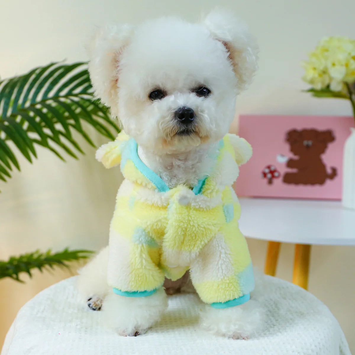 Pet Clothing Autumn Winter