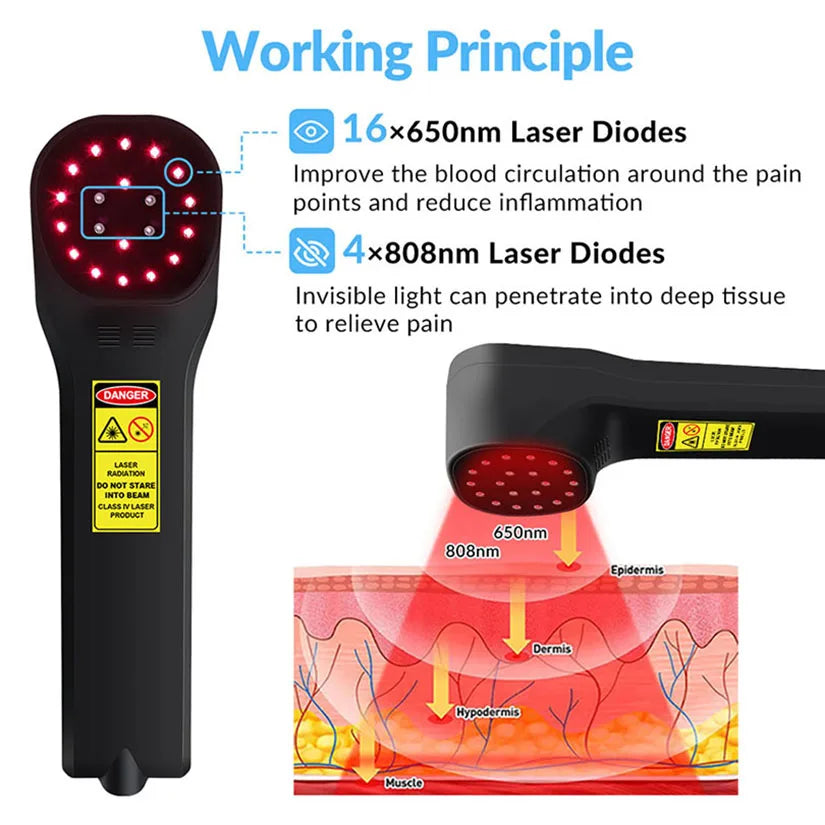 Deep Tissue Cold Laser Therapy Device – Pain Relief for Horses, Dogs & Cats