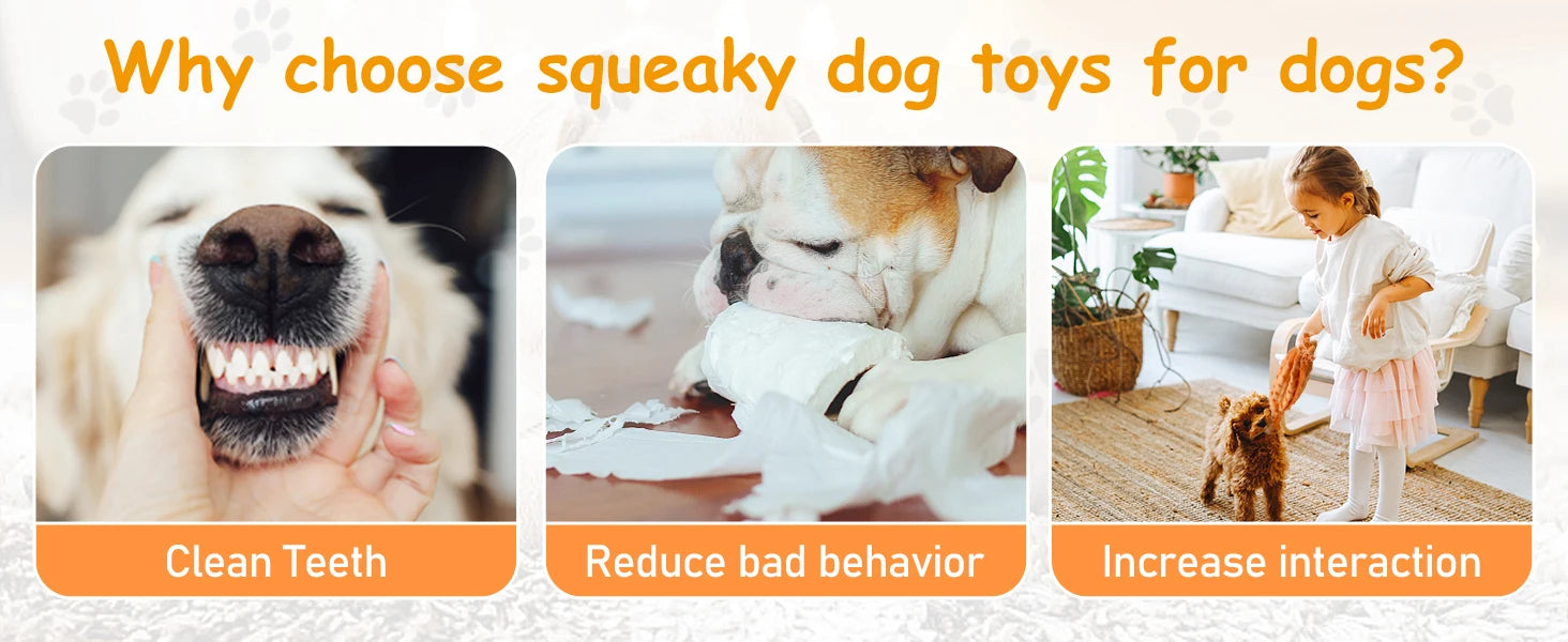 Dog Chew Toys