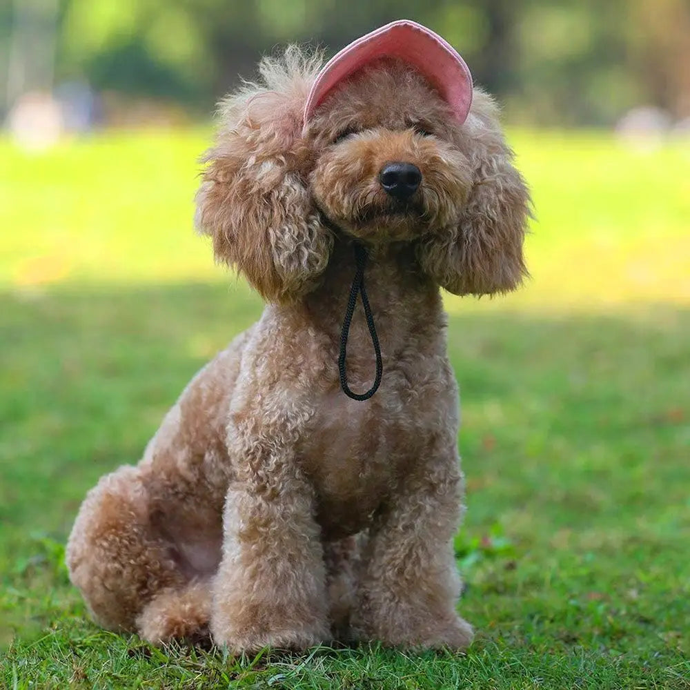 Pet Baseball Hat Cat Dog Visor Hat Adjustable Sun Cap